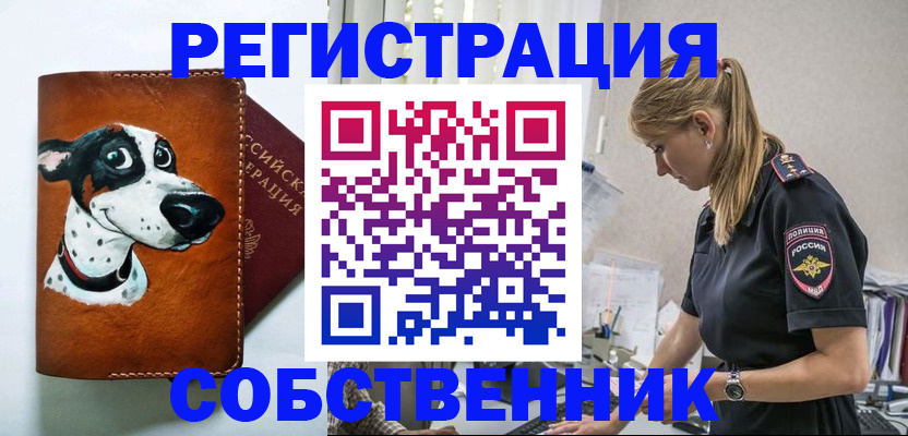 временная регистрация недорого в Перми